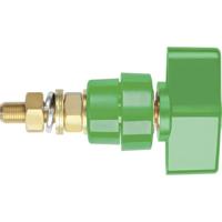 Schützinger Poolklem Groen 100 A 1 stuk(s) - thumbnail