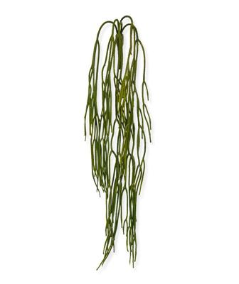 Rhipsalis Pilocarpa kunsthanger 65cm