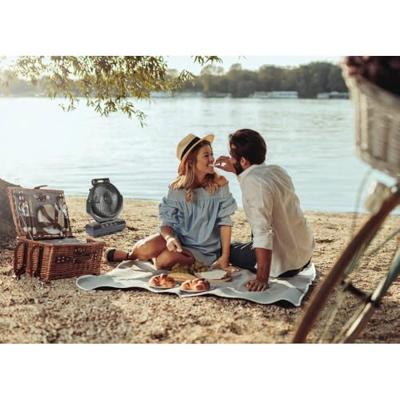 Sygonix Accuventilator 4.6 W (Ø) 205 mm Zwart Werkt ook op batterijen, Met lamparmatuur, Oscillerend, Met afstandsbediening, LED-indicatie, Timer, Wandmontage