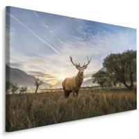 Schilderij - Hert in het Veld, Premium print, 5 maten - thumbnail