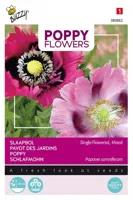 Papaver poppies of the world s 1g - thumbnail