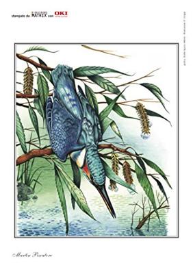 Oki Toner Kit cyaan - 1500 pagina&apos;s - 44973535