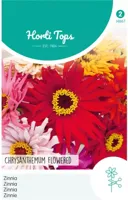 Zaden Zinnia Chrysanthbloemig gemengd Hortitops - Hortitops - thumbnail