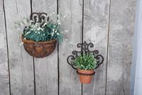 Muurhanger klassiek / Esschert Design - thumbnail