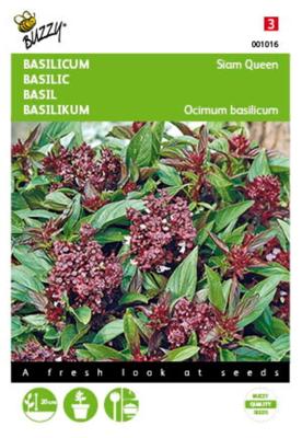 Basilicum Siam Queen