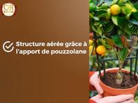 Potgrond OR BRUN 6 L Citrusvruchten - thumbnail