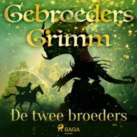 De twee broeders - thumbnail