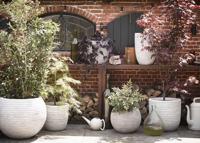 Capi bloempot nature row elegant laag 36x47 cm antraciet krwz782 - thumbnail