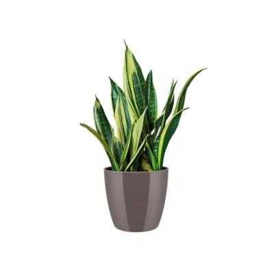 Bloempot Brussels diamond rond 22 cm oyster pearl elho - Elho