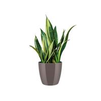 Bloempot Brussels diamond rond 22 cm oyster pearl elho - Elho - thumbnail