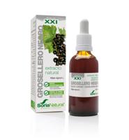 Soria Natural Ribes Nigrum XXI Extract - thumbnail