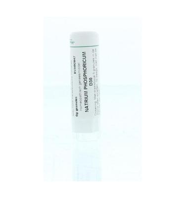 Homeoden Heel Natrium phosphoricum D30 6 Gram Homeoden Heel Natrium phosphoricum D30 6 Gram
