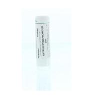 Homeoden Heel Natrium phosphoricum D30 6 Gram - thumbnail