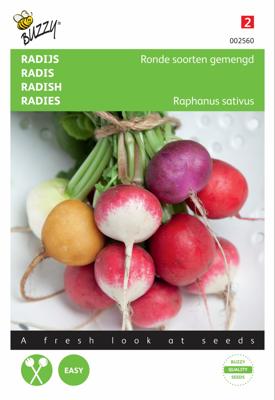 Radijs Ronde soorten gemengd
