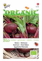 Zaden Organic Bieten Egyptische Platronde (BIO) Buzzy - Buzzy - thumbnail