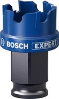 Bosch Accessories EXPERT Sheet Metal 2608900494 Gatenzaag 1 stuks 25 mm 1 stuk(s) - thumbnail