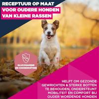 Eukanuba Senior Hondenvoer met verse kip voor kleine rassen, premium droogvoer voor oudere honden, 3 kg - thumbnail