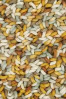 Brink en Campman - Arch 67006 Rond - 200 rond Vloerkleed - thumbnail