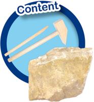 SES t-rex opgraven - thumbnail