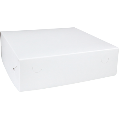 Zwanenhals/ verzenddoos | karton | 32x32x9cm | duplex | wit | 50 stuks