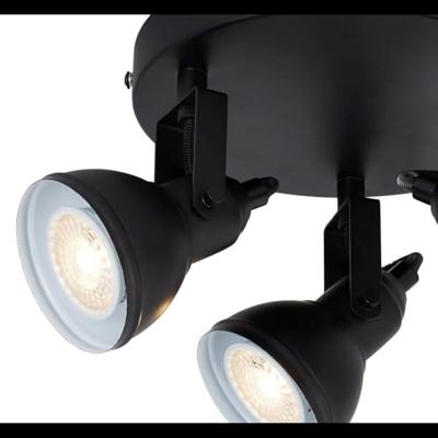 Searchlight Landelijke opbouwspotFocus - 1543BK
