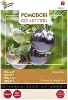 Pomodori Indigo rose (zwart) zaden Buzzy - Buzzy - thumbnail