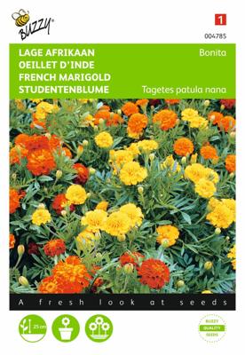 Zaden Tagetes lage Afrikaan Bonita Buzzy - Buzzy Zaden Tagetes lage Afrikaan Bonita Buzzy - Buzzy