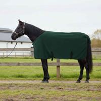 VidaXL Paardendeken volledig donkergroen polyester - thumbnail