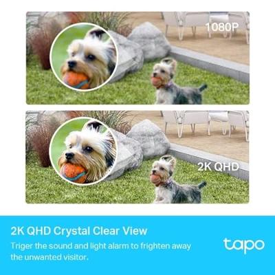 Tapo 2K QHD draadloze outdoor beveiligingscamera, 1 cam met hub inbegrepen, 180 dagen oplaadbare batterij, 4 MP, kleur nachtzicht, AI-detectie, SD-opslag, werkt met Alexa en Google (Tapo C420S1)