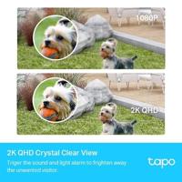 Tapo 2K QHD draadloze outdoor beveiligingscamera, 1 cam met hub inbegrepen, 180 dagen oplaadbare batterij, 4 MP, kleur nachtzicht, AI-detectie, SD-opslag, werkt met Alexa en Google (Tapo C420S1) - thumbnail