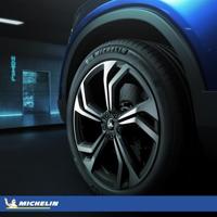 Michelin Ps4 suv mo1 xl 315/40 R21 115Y 31540ZR21TPS4SUVMO1X - thumbnail