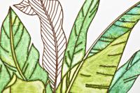 Canvas DKD Home Decor Tropisch Blad van een plant (80 x 3 x 60 cm) - thumbnail