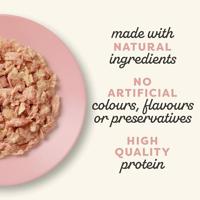 APPLAWS Tuna fillet with salmon in jelly - nat kattenvoer - 70g - thumbnail
