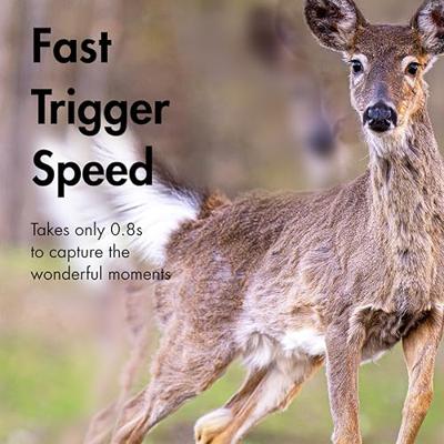 LogiLink WC0065 Wildcamera Black LEDs, Geluidsopnames Camouflage groen, Camouflage bruin