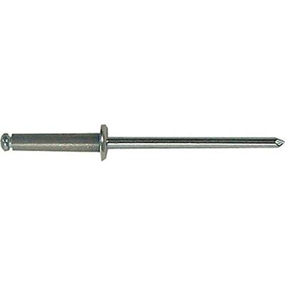 Gesipa Blindklinknagel | klinknagelschacht d x l 3 x 10 mm | aluminium / staal | 500 stuks - 1433471 1433471 Gesipa Blindklinknagel | klinknagelschacht d x l 3 x 10 mm | aluminium / staal | 500 stuks - 1433471 1433471