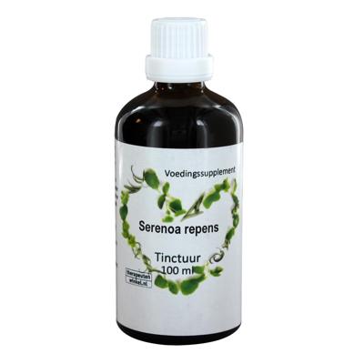 Therapeutenwinkel Serenoa repens 100 Milliliter