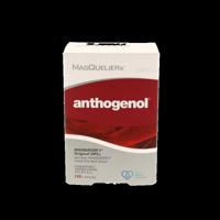Anthogenol 120 Capsules - thumbnail
