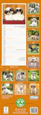 Shih Tzu Kalender 2026 Slimline Shih Tzu Kalender 2026 Slimline
