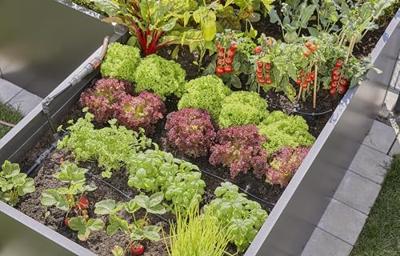 Gardena micro-drip afsluitdop