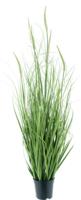 Pennisetum grass in pot green 100cm - thumbnail