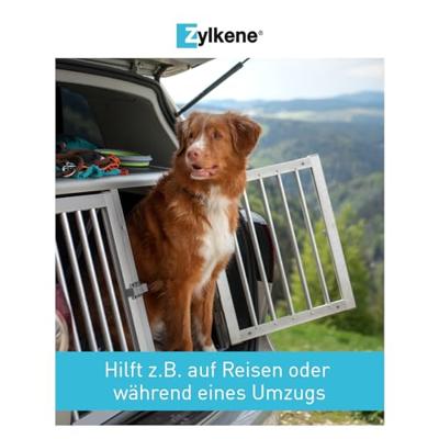 Zylkene Capsules 225 mg voor middelgrote hond (10 - 30 kg) (100 stuks) 100 capsules - thumbnail