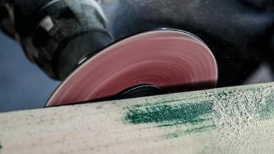 Bosch Accessories F460 Expert for Wood and Paint 1609200164 Schuurpapier voor schuurschijf Ongeperforeerd Korrelgrootte (num) 180 (Ø) 125 mm 5 stuk(s)