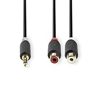 Nedis Stereo-Audiokabel | 3,5 mm Male | 2x RCA Female | 0.2 m | 1 stuks - CABW22250AT02 CABW22250AT02 - thumbnail