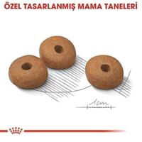 Royal Canin Mini Light Weight Care hondenvoer 3 kg - thumbnail