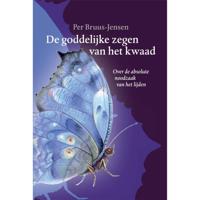 De goddelijke zegen van het kwaad (Paperback) - thumbnail