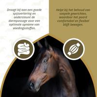 Excellent Horse Omega Boost 1 l - thumbnail