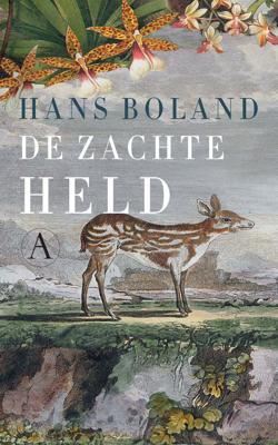 De zachte held - Hans Boland - ebook