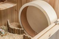 TRIXIE LOOPRAD HOUT 21 CM - thumbnail