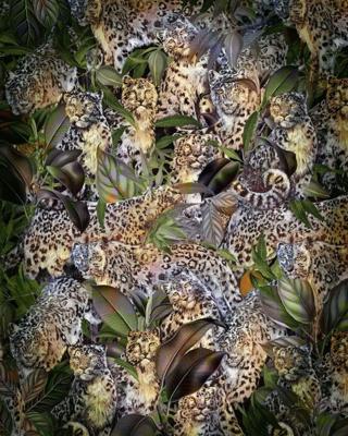 Komar Home Fotobehang Wild Cats - X4-1046