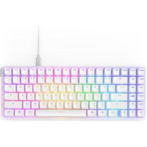 NZXT Function 2 MiniTKL toetsenbord Zwart